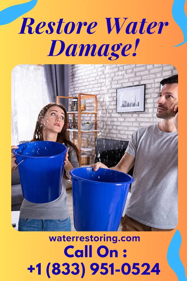 water restoration Quality Damage Recovery Authority Silver Lake