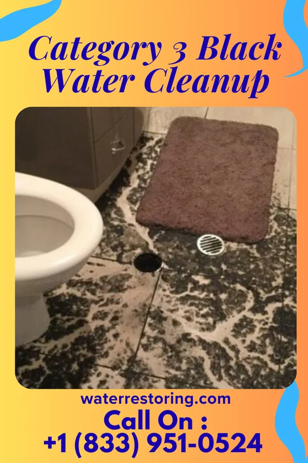 Category 3 Black Water Cleanup in Silver Lake, NJ