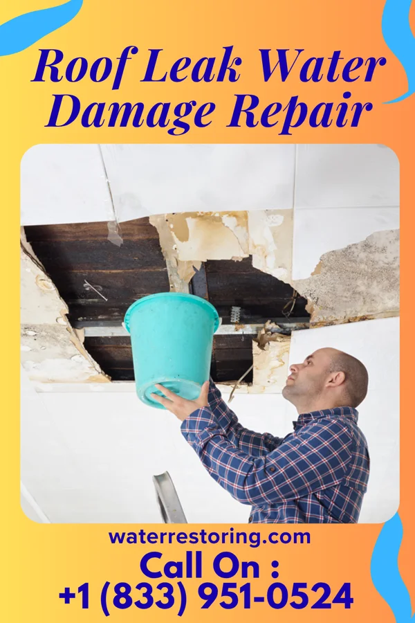 Roof Leak Water Damage Repair in Silver Lake, NJ