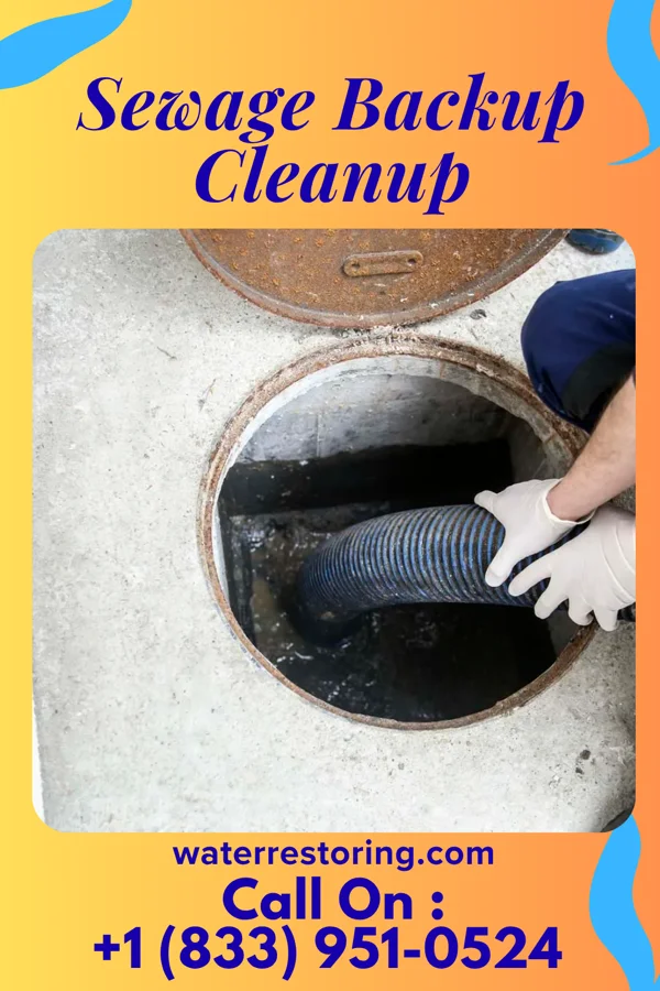 Sewage Backup Cleanup in Silver Lake, NJ