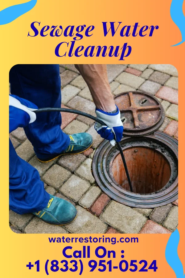 Sewage Water Cleanup in Silver Lake, NJ